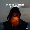 If the World Divides - Single