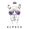 Alpaca - Single