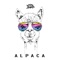 Alpaca (Extended) artwork