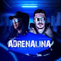 Adrenalina (feat. Dj Dudu Coupper) - Single - MC IGOR GV