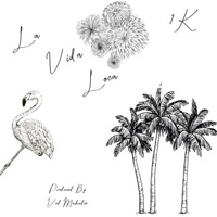 La Vida Loca - Single - 1k StayActive
