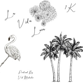 La Vida Loca 1k StayActive