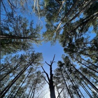 Uh Huh! (feat. Jay Coast) - Single - Gelo