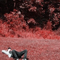 Sincerely, Me - Single - Real Deal