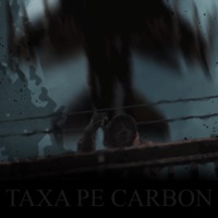 Taxa Pe Carbon - Single - Mutu