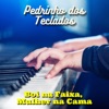 Pedrinho dos Teclados