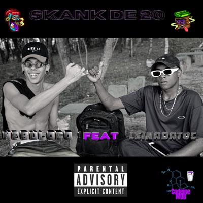 Skank de 20 (feat. LeiNadaToc) - Single