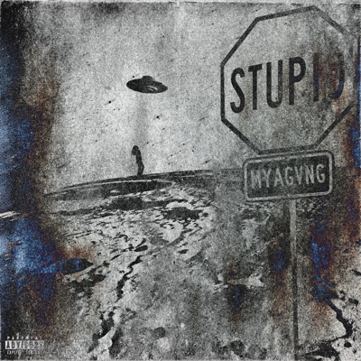 Stupid - Single