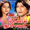 Tari Yaado Ma Jindgi Javani - Single