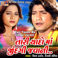 Tari Yaado Ma Jindgi Javani - Single - Vikram Thakor & Dipali Somaiya