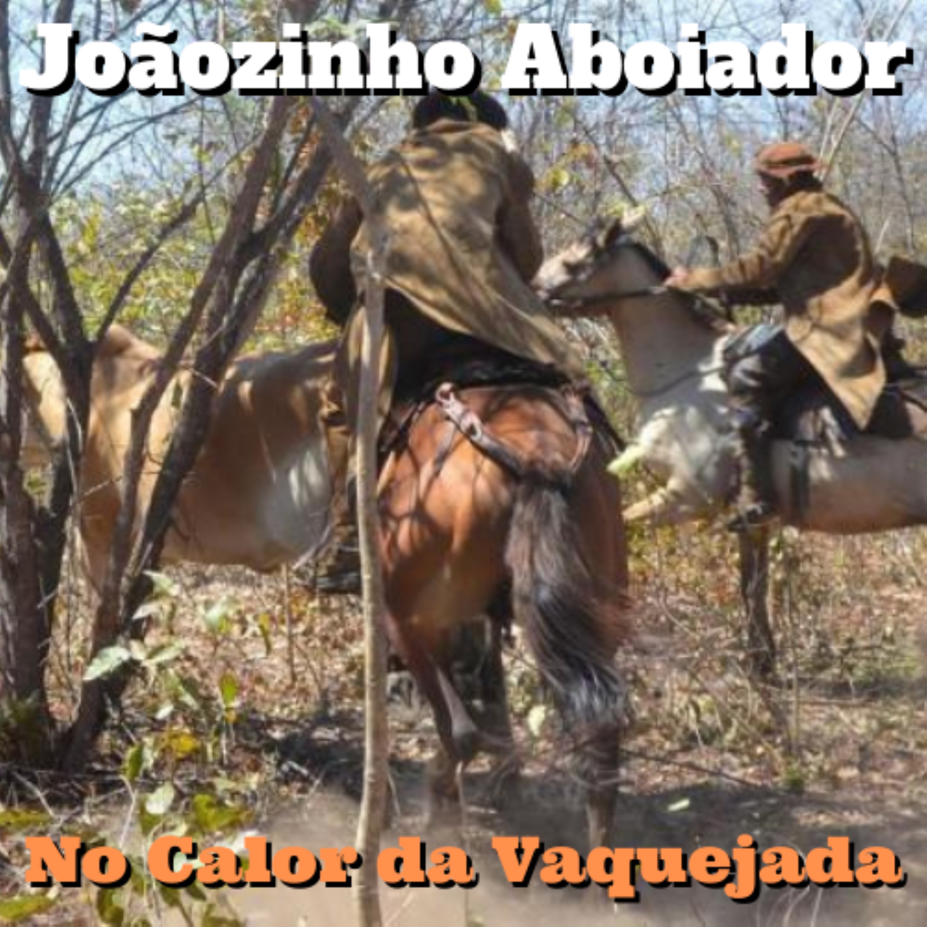 No Calor da Vaquejada