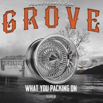 What you packing on (feat. TAZZ & HITZ) - Single