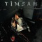 Timsah - BEK lyrics