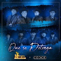 Que Se Detenga (feat. Codice) - Single - Miguel y Miguel