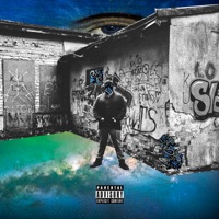 DID WHAT I HAD TO (feat. Axel Holy) - Single - MIDDLEMAN & BAILEYS BROWN