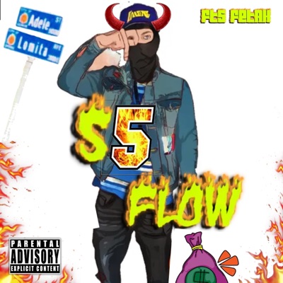 S5 Flow - Single