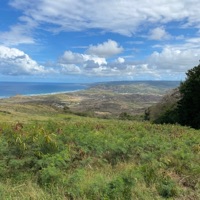 Water - Single - Young Rog