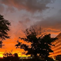 Noche y Día - Single - avm