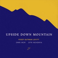 Upside Down Mountain - Yosef Gutman