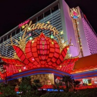 State To State - Single - Taco Toby