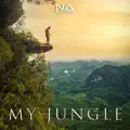 My Jungle