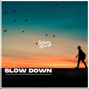 Slow Down - Single