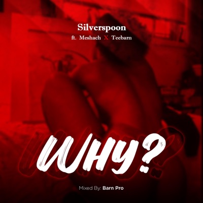 WHY (feat. MESHACH & TEEBARN) - Single