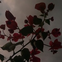 Drought - Single - Lucid-G