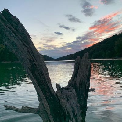 Boat Fork Branch Days, Vol. 1