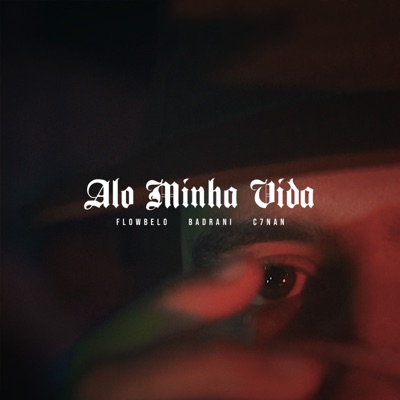 Alô Minha Vida (feat. Vibox) - Single