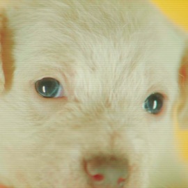 U Know What I Mean (feat. Pell) clear eyes