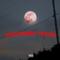 Strawberry Moons - Single - DaLtonNYC & The Gifted Program
