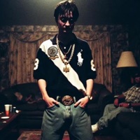 Money On My Mind (feat. Yungndangerous) - Single - fsglittleloonie