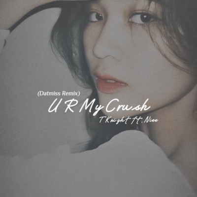 U R my crush (feat. Nie & Đạt Miss) [Remix] - Single