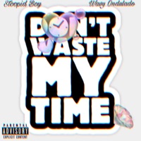 Don't Waste My Time (feat. Stoopid Boy) - Single - Wavy Ondulado