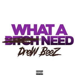 What a Bitch Need Drew Beez