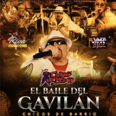 El Baile Del Gavilán (En Vivo) artwork