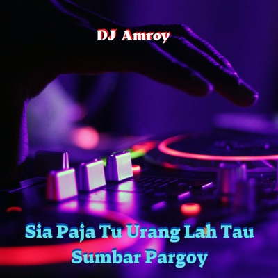 DJ Amroy - Sia Paja Tu Urang Lah Tau Sumbar Pargoy