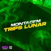 Montagem Trips Lunar (feat. Mc Gw) - Single