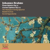 Johannes Brahms: Piano Quintet, Clarinet Quintet artwork