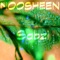 Sabzi - NOOSHEEN lyrics