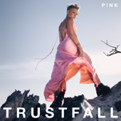 TRUSTFALL - P!nk Cover Art