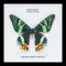 The Butterfly Effect (feat. Vordul Mega) - Dub Sonata lyrics