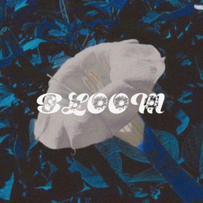 Bloom (feat. Tacit) - Single