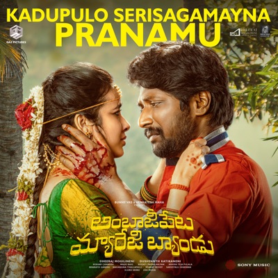 Kadupulo Serisagamayna Pranamu (From "Ambajipeta Marriage Band") - Single