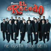 Banda El Recodo De Cruz Lizárraga - Yo Te Daría Mi Vida