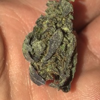 Mango Runch N Captn Punch (feat. Flow Rose) - Single - Sasha Bay