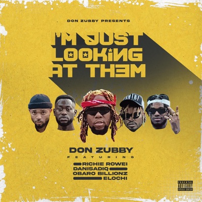 I'm Just Looking at Them (feat. Richie Rowei, Danisadiq, Obaro Billionz & Elochi) - Single
