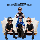 Kevlar (DOG HUSTLERS x Devinity Remix) - Tuuli, DOG HUSTLERS &amp; Devinity Cover Art
