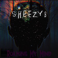 Roaming My Mind - Sheezyb